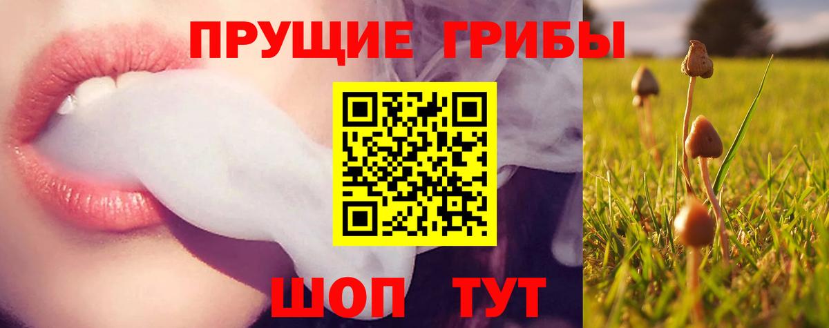 Галлюциногенные грибы GOLDEN TEACHER Ртищево